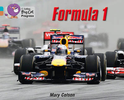 Formula 1 by Mary Colson image