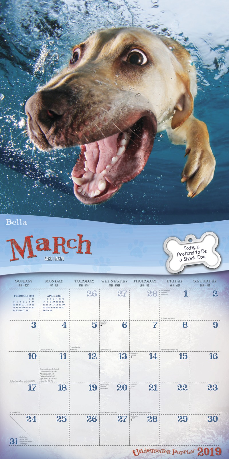 Underwater Puppies 2019 Square Wall Calendar by Inc Browntrout Publishers image