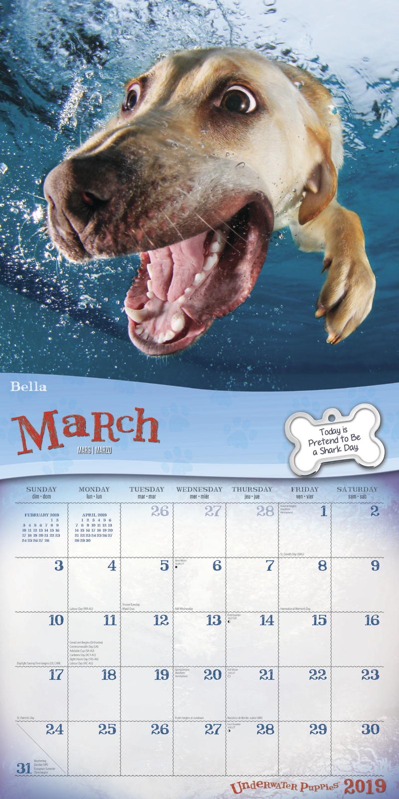 Underwater Puppies 2019 Square Wall Calendar by Inc Browntrout Publishers