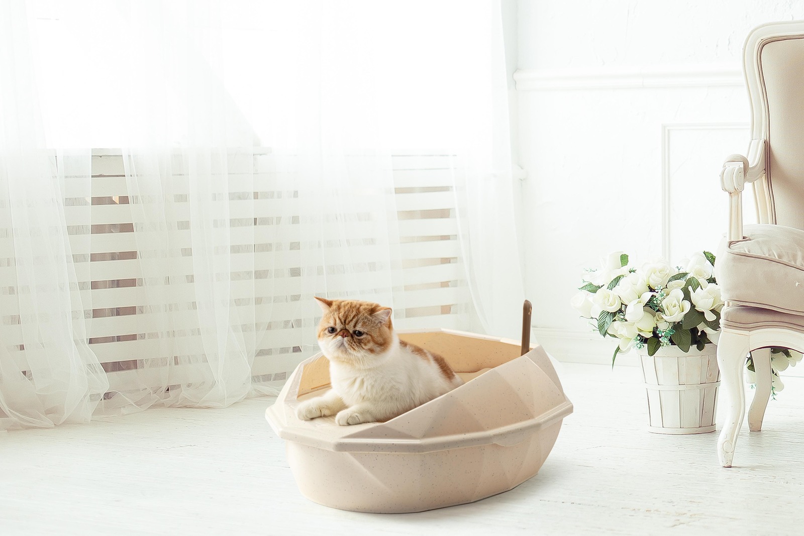 Buy Pawever Pets Easy Sift Cat Litter Tray with Scoop at Mighty Ape NZ