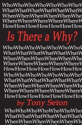 Is There a Why? by Tony Seton image
