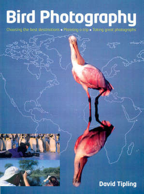Bird Photography: Choosing the Best Destinations, Planning a Trip, Taking Great Photographs by David Tipling image