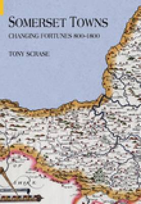 Somerset Towns by Tony Scrase image