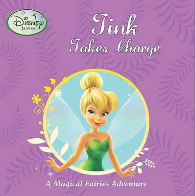 Disney Stories Fairies image