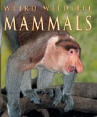 WEIRD WILDLIFE MAMMALS image