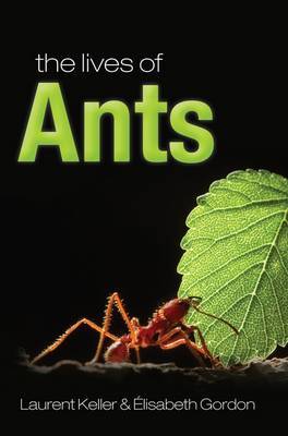 The Lives of Ants by Laurent Keller image