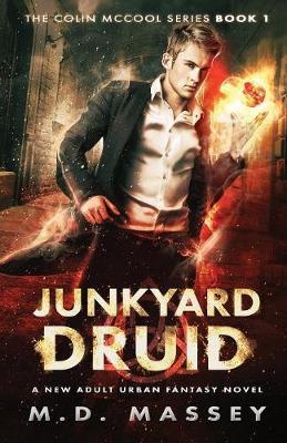 Junkyard Druid by M D Massey image