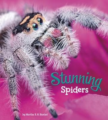 Stunning Spiders by Martha E.H. Rustad image