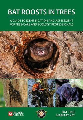 Bat Roosts in Trees by Bat Tree Habitat Key image