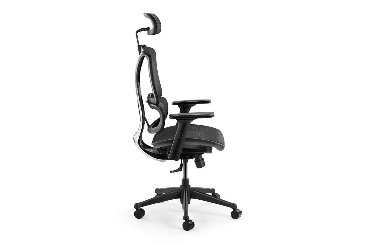 Buy EX10 Ergonomic Mesh Office Chair at Mighty Ape NZ