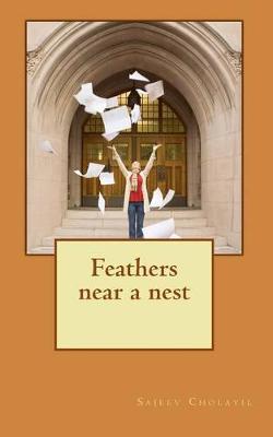 Feathers Near a Nest image