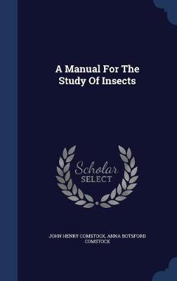A Manual for the Study of Insects by John Henry Comstock image