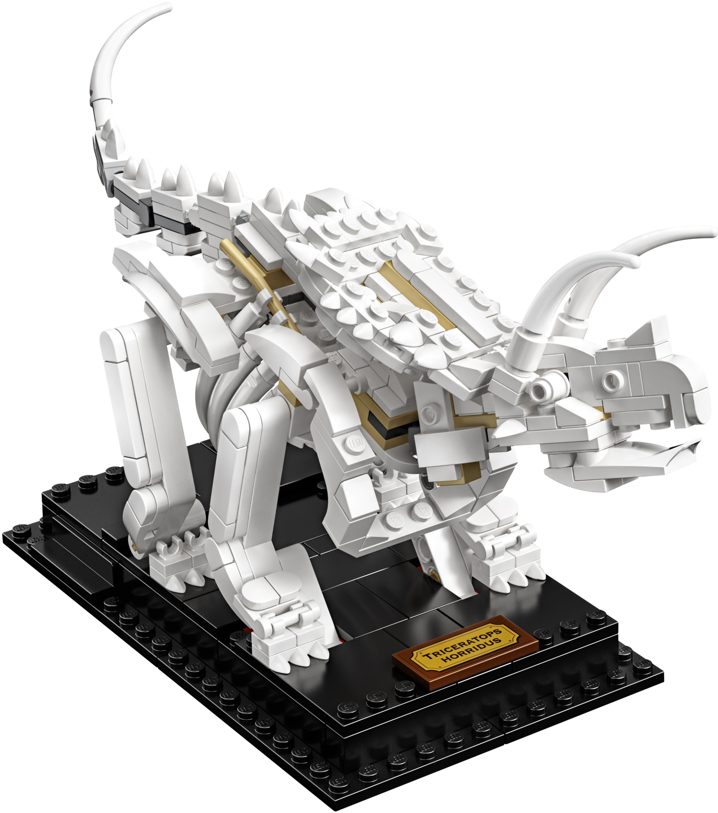 LEGO Ideas - Dinosaur Fossils image