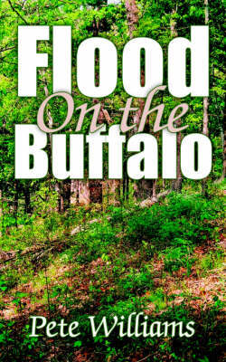 Flood On the Buffalo by Peter Williams image