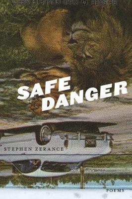 Safe Danger by Stephen Zerance image