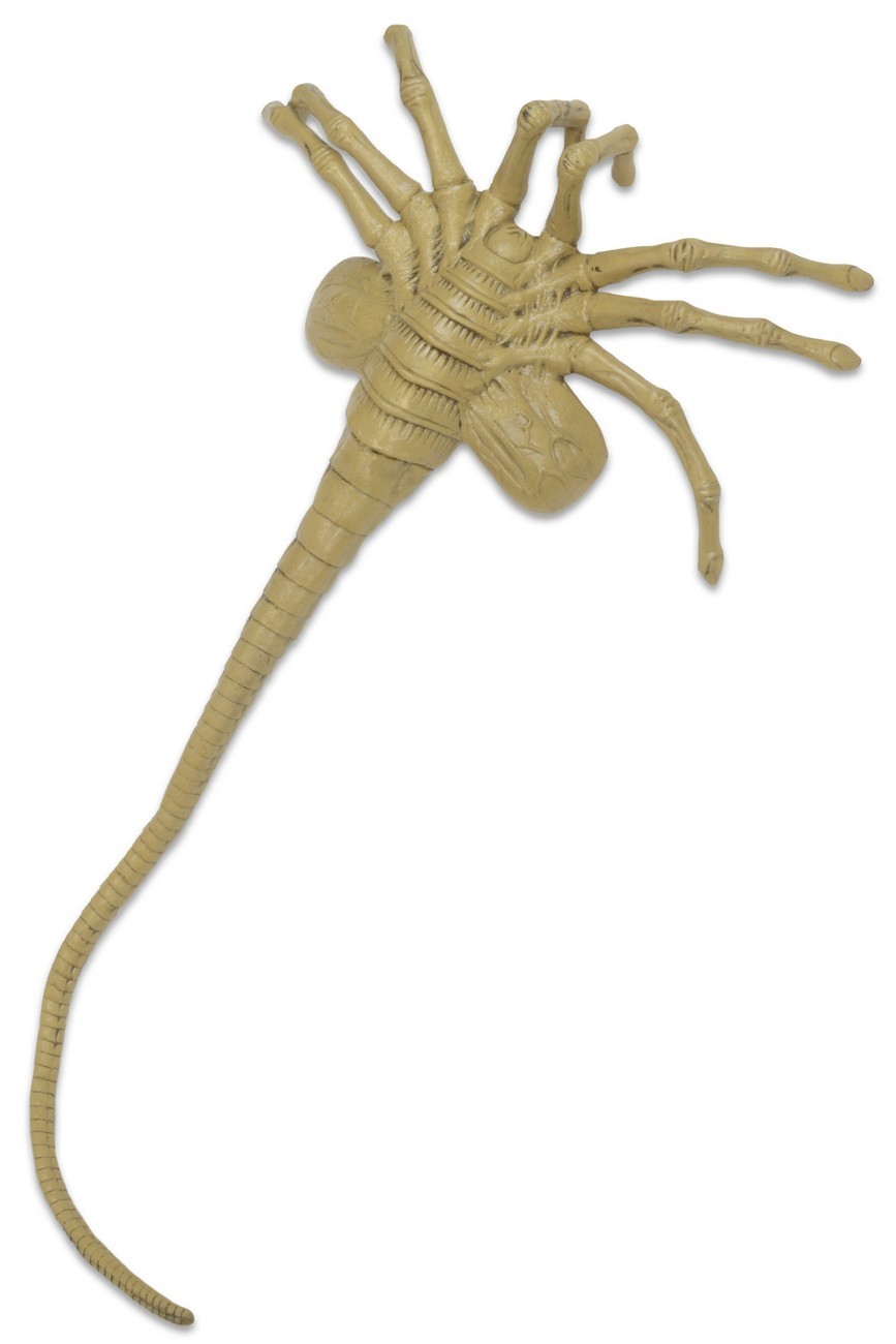 Aliens - Facehugger Life-Size Foam Replica image