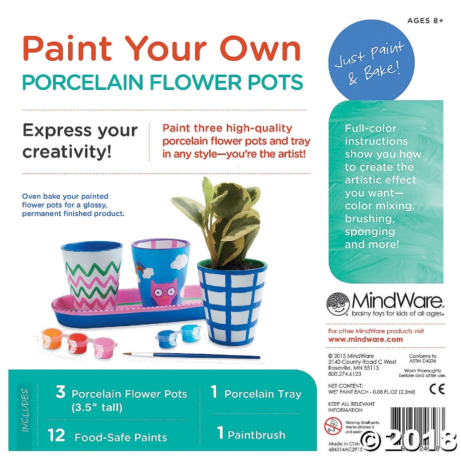 Mindware Create: Paint Your Own - Porcelain Flower Pots image