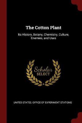 The Cotton Plant image