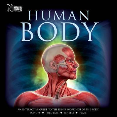 Human Body by Steve Parker image