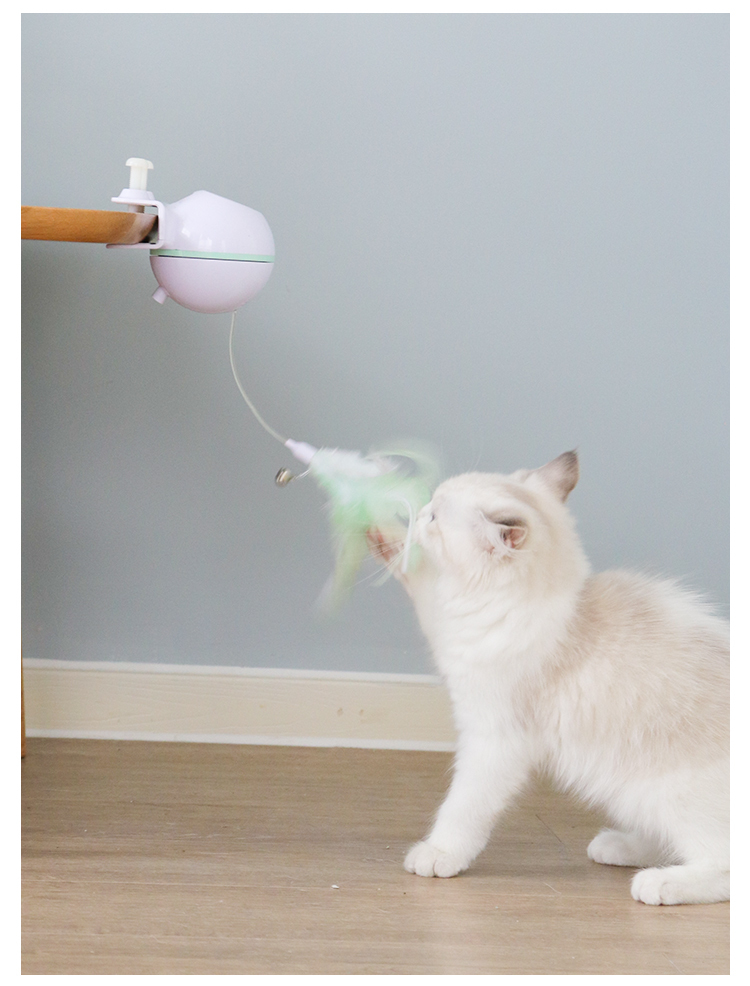 2 in 1 Electronic Action Cat Toy image