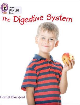 The Digestive System image