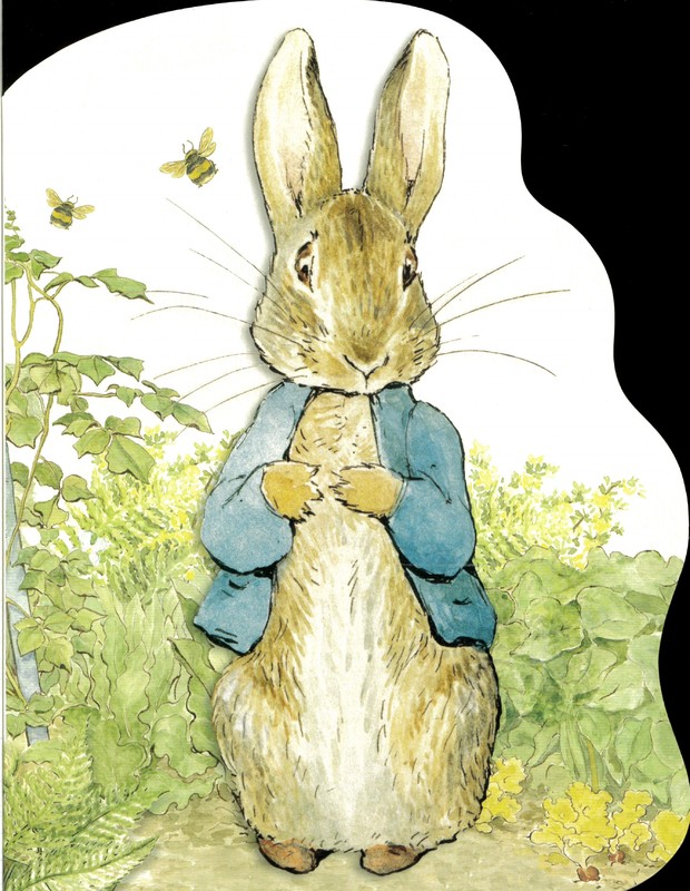 Peter Rabbit Buy Now at Mighty Ape NZ