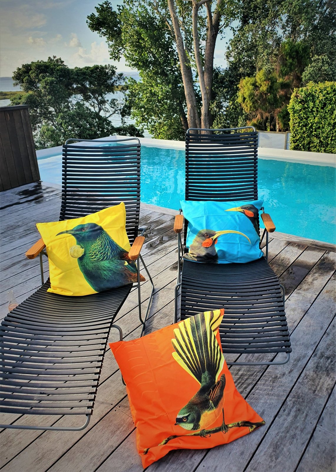 100 Percent NZ Bright Fantail Cushion Cover at Mighty Ape NZ