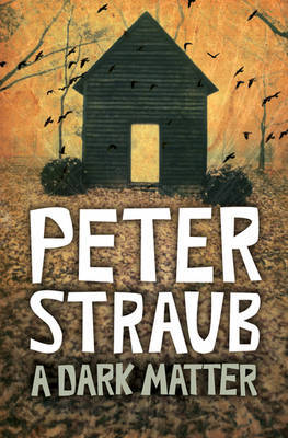 A Dark Matter (large) on Paperback by Peter Straub