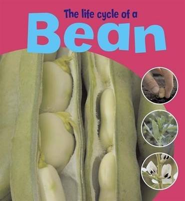 The Life Cycle Of A Bean by Ruth Thomson image