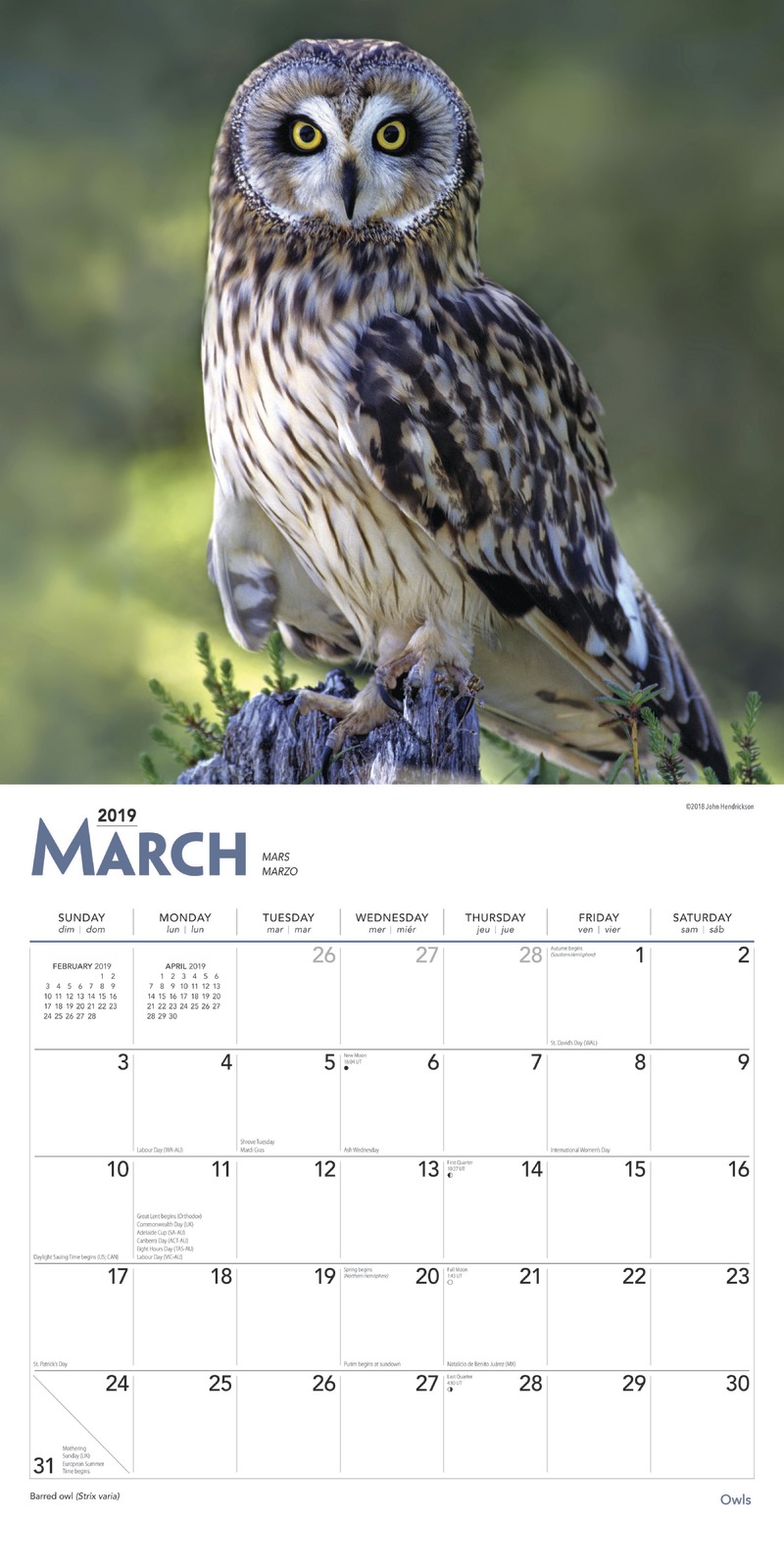 Owls 2019 Square Wall Calendar by Inc Browntrout Publishers image