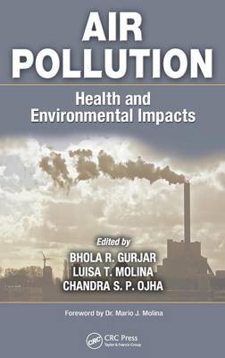 Air Pollution on Hardback