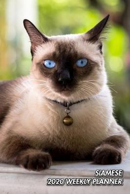 Siamese 2020 Weekly Planner by Notebooks Journals Xlpress image