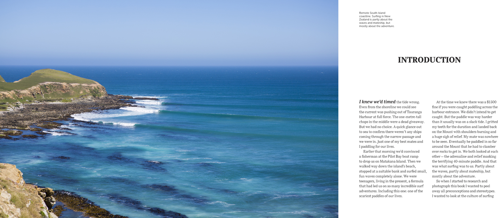Surf Dreams by Derek Morrison image