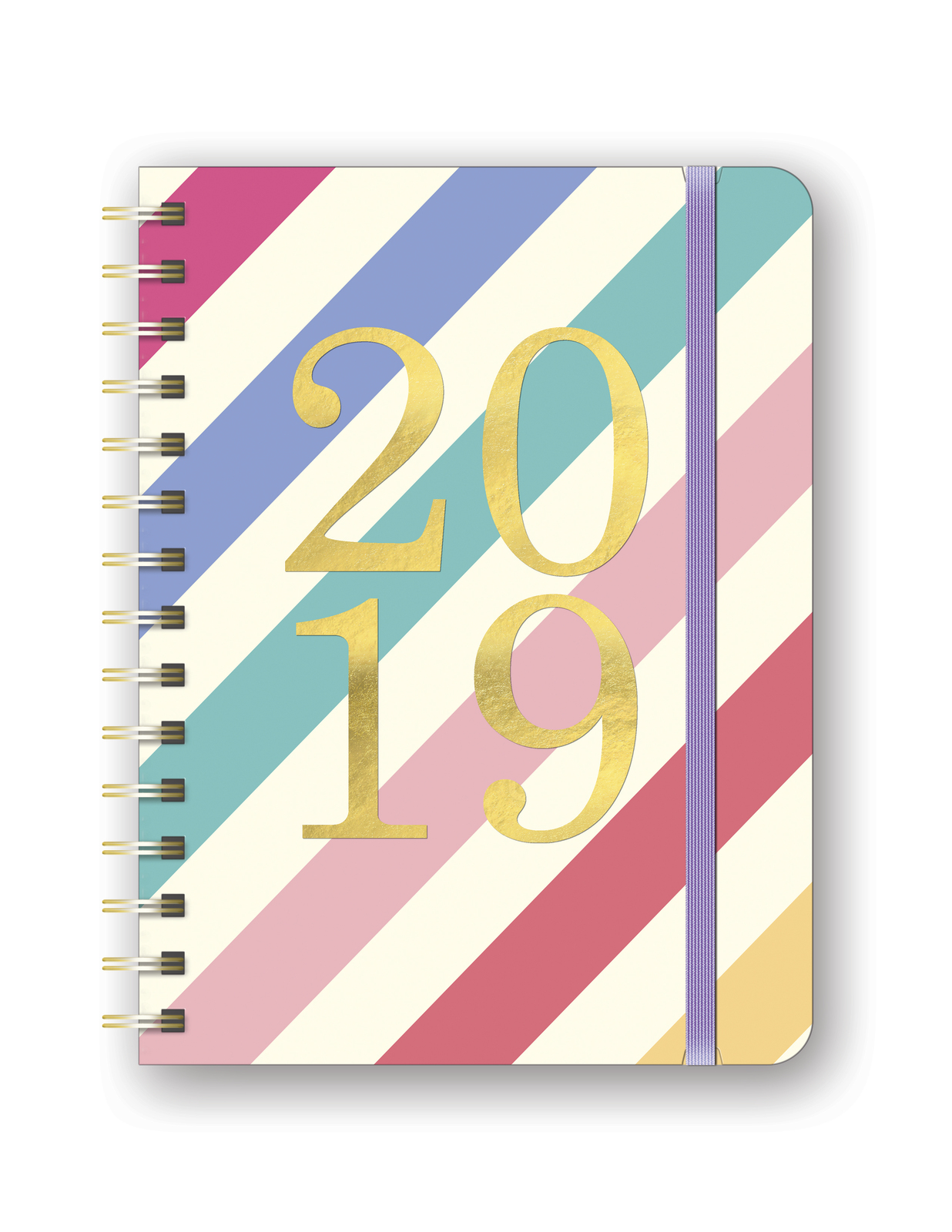 Deluxe Rainbow Stripes Flexi 2019 A5 Diary