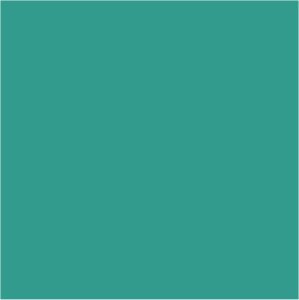 Citadel Layer: Temple Guard Blue image