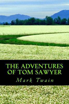 Adventures of Tom Sawyer image