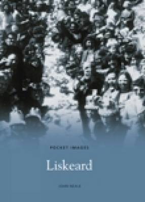 Liskeard by John Neale image