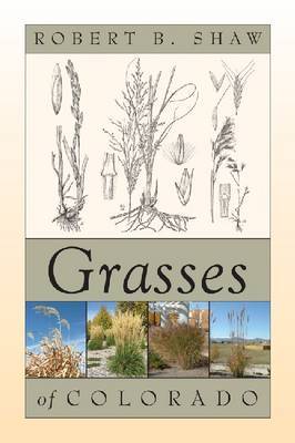 Grasses of Colorado image