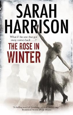 The Rose in Winter by Sarah Harrison image