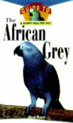 African Grey by Julie Ann Rach image