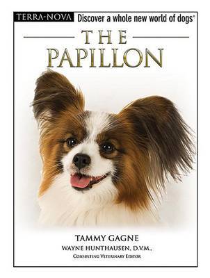 The Papillion on Hardback by Tammy Gagne