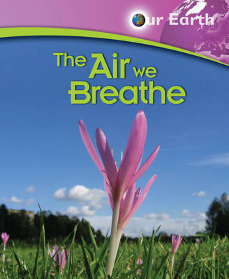 The Air We Breathe by Jen Green image