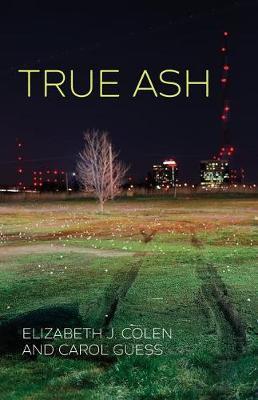 True Ash by Elizabeth J Colen image