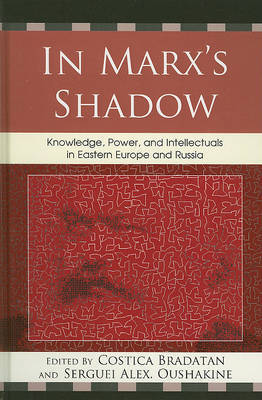 In Marx's Shadow image