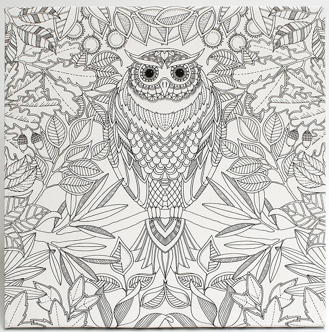 Johanna Basford Canvas 12x12 Secret Garden Owl Images at Mighty Ape NZ