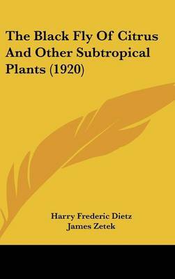 Black Fly of Citrus and Other Subtropical Plants (1920) image