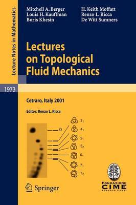 Lectures on Topological Fluid Mechanics by Mitchell A. Berger image