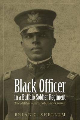 Black Officer in a Buffalo Soldier Regiment image