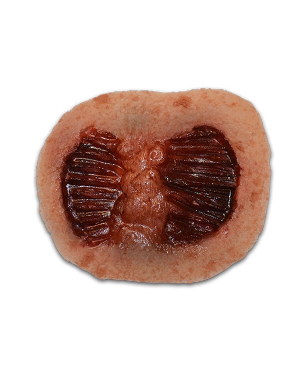 Walking Dead - Walker Large Bites Appliance image