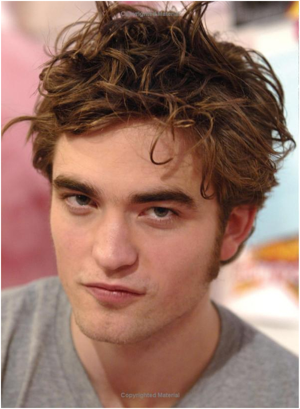 The Robert Pattinson Album (illustrated biography) by Paul Stenning image